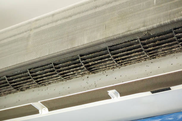 Best Affordable Air Duct Cleaning  in Yacolt, WA